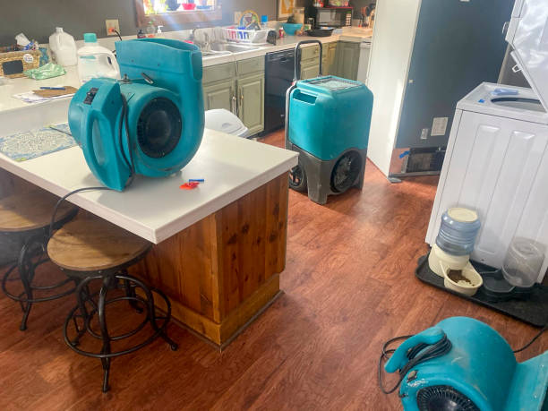  Fairfield Plantation, GA Water damage restoration Pros