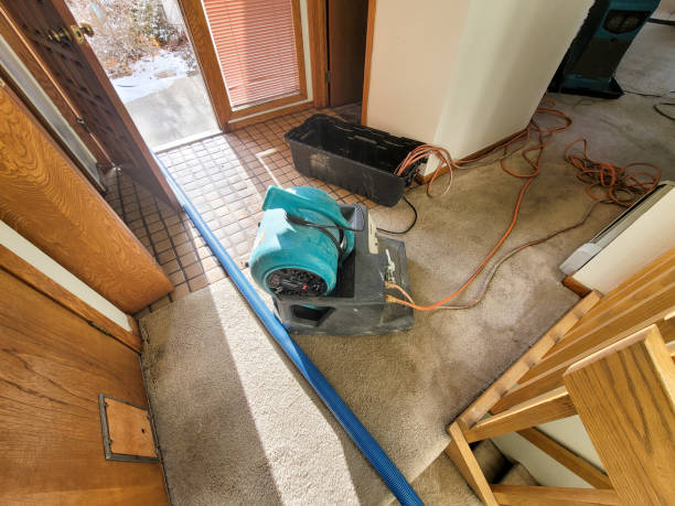 Best Sewage cleanup and water damage restoration  in Fairfield Plantation, GA
