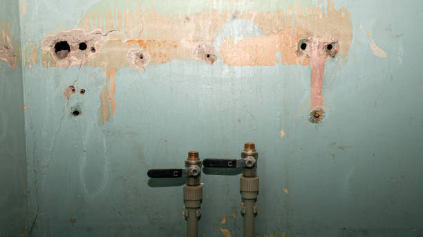 Best Residential water damage restoration  in Fairfield Plantation, GA