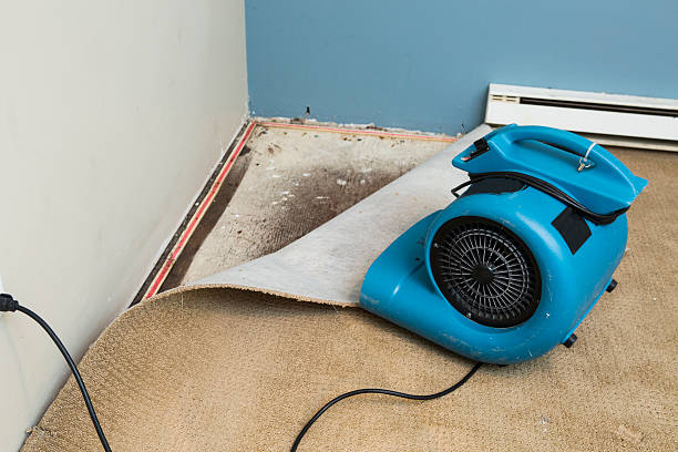 Best Professional water damage repair  in Fairfield Plantation, GA